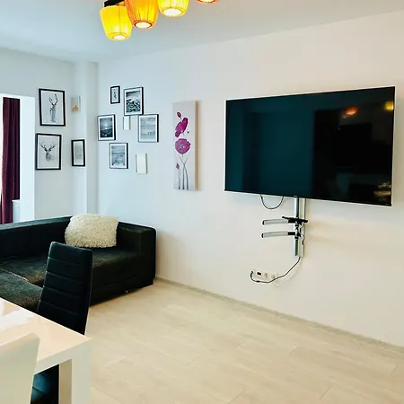 Apartment Chic Escape Forest